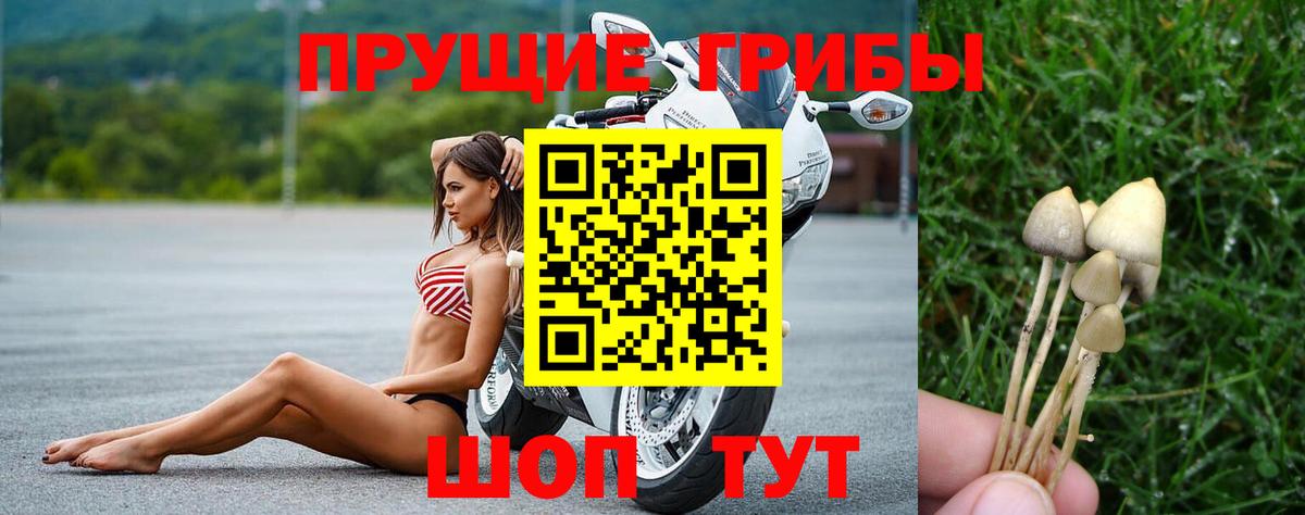 Псилоцибиновые грибы Magic Shrooms  Азнакаево 